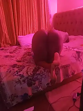Bootiq live