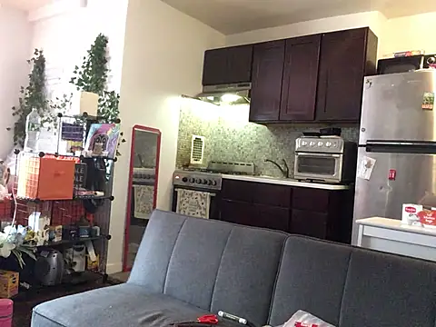littyleesh1 live