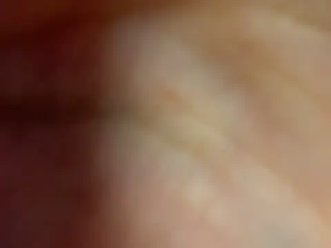 FoxyValentine live