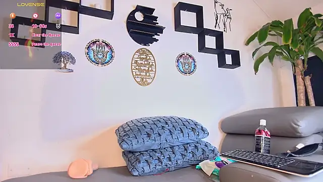 startwerk live