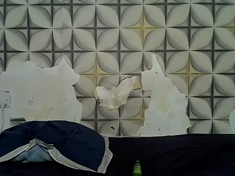 fine_grap live
