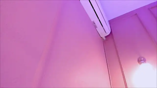 lia_ass_ live