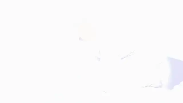 KatieBell profile