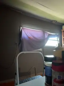 Quinn_damilf live