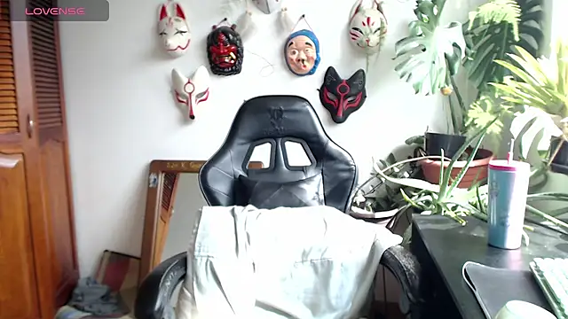 cat_salo live