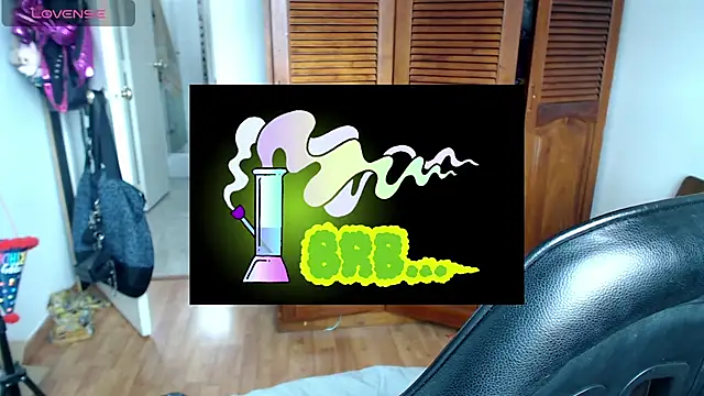 cat_salo live