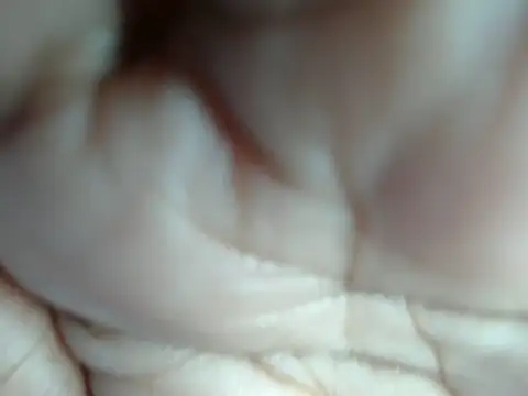 Naughtymis live