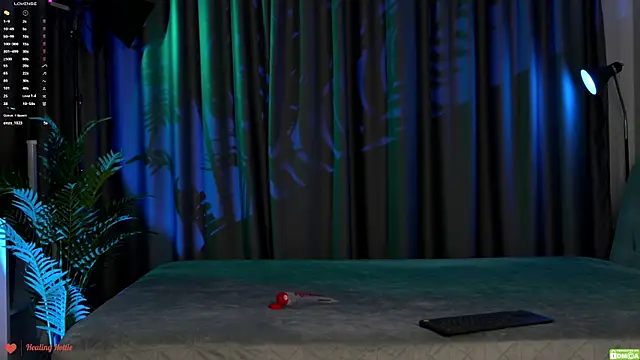 Healing_Hottie live