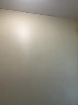 DominicanJojo live