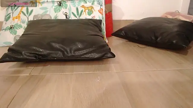 staylor29 live