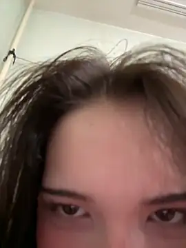 fier_lio live