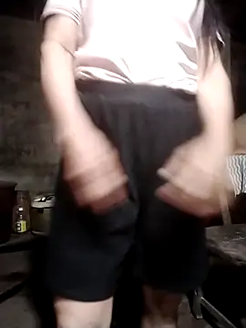 phlin1 live