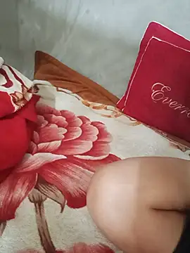 Evelyn-n live