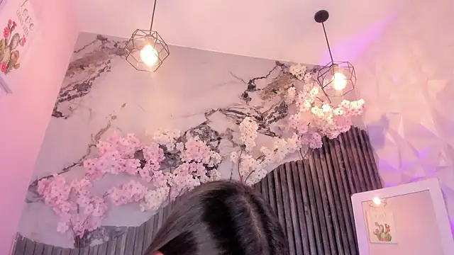 Zephyra_bms live