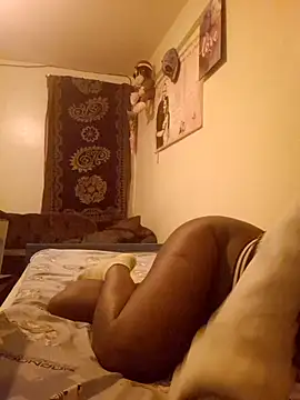 meshje live