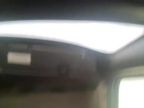 BigDawgzbite69 live