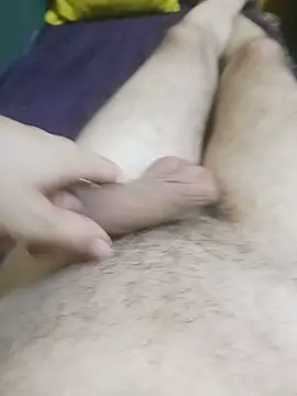 EgyptianHorse live