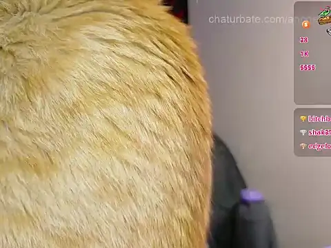 DIVINANGELA live