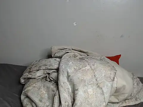 mollynavy live