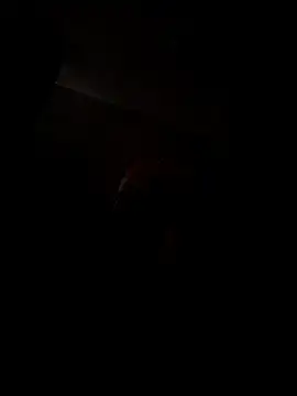 Miss_June666 live