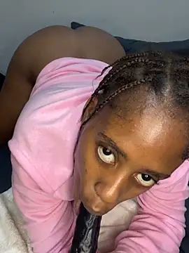 petite_bee live