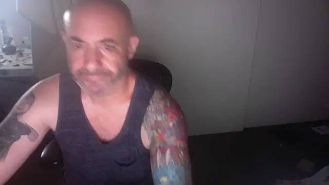 palidin1 live