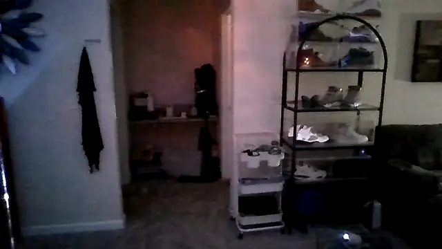 Triggerhappycj100 live