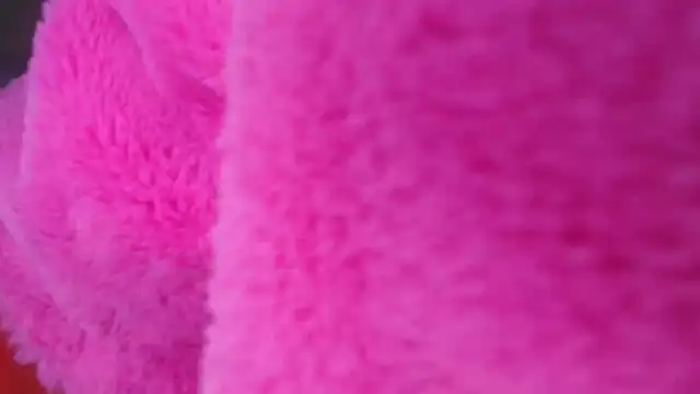 Bella_2025 live