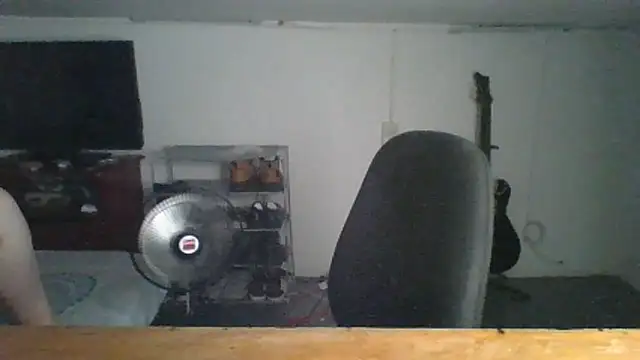 daphneev live