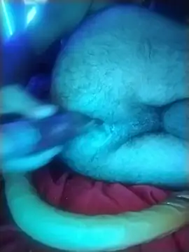 Professor_Leo_ live