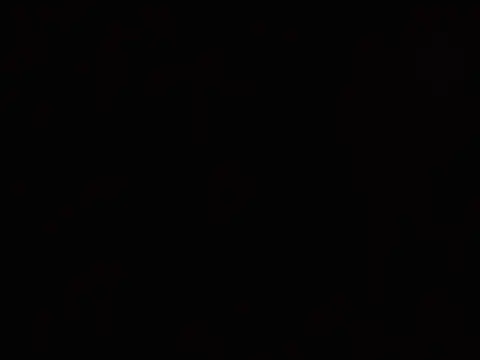 KiddycatX02 live