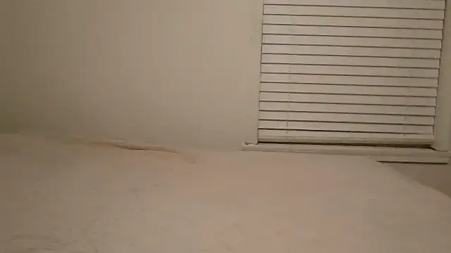 beautylovess live