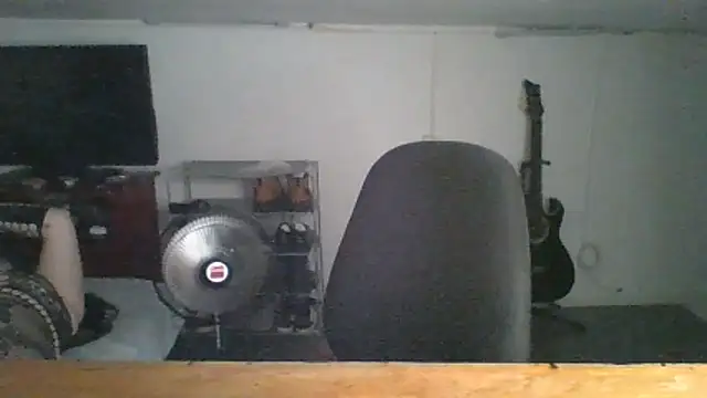 daphneev live