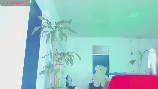 sophiaxxdoll live