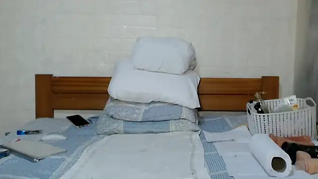 awild_kitten live