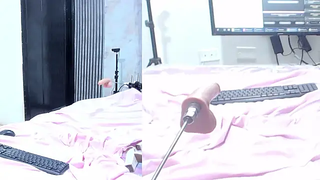 sofi_boll25 live