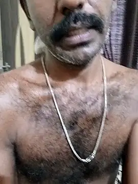 Chocolate_stud10 live