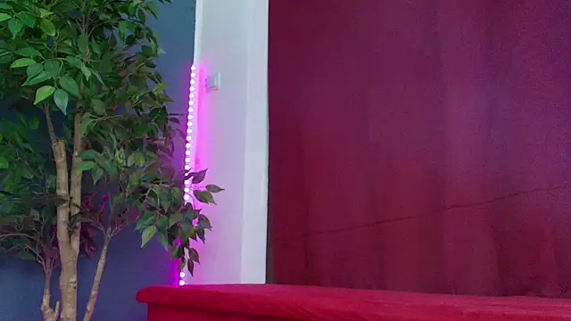 NikyStyris live