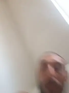 CedaM11 live