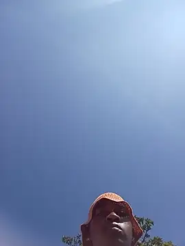 DimpleQueen_01 live