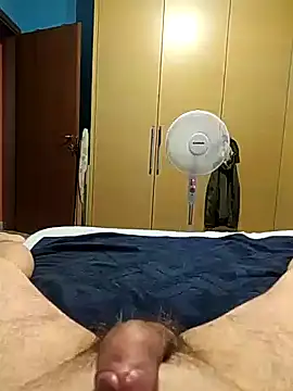 Cini75 live