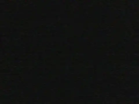 shugabaibe live