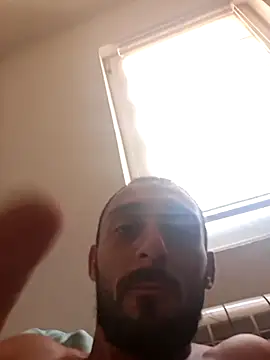 CedaM11 live