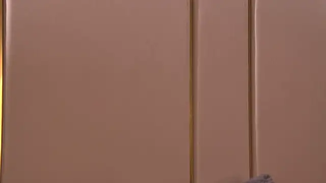 Remy_Larson live