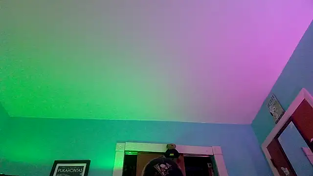 Novabear6996 live