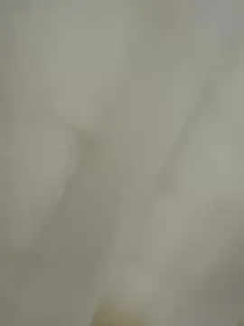 LatinFurBall live