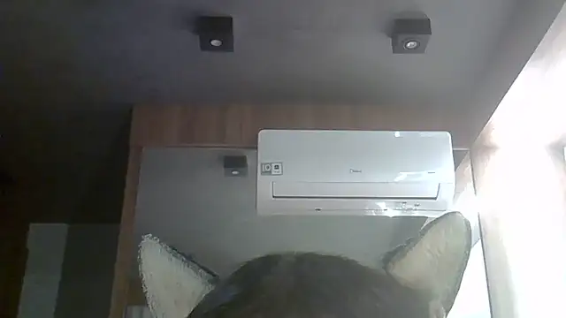 SkinnyKitten live