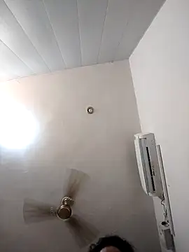 Cutedupl live