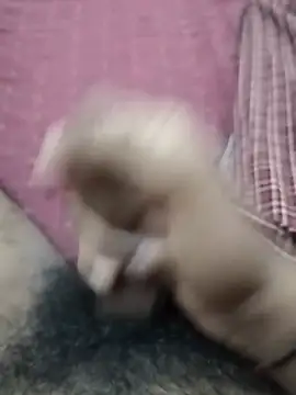Rajkamal13 live