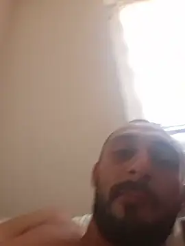 CedaM11 live
